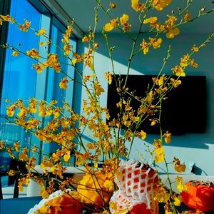 HELLO I’ve been gone for awhile but I’m back